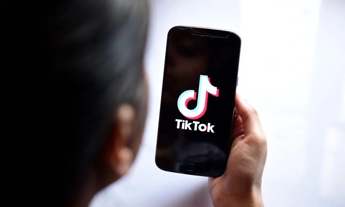 How Much Can a TikToker Earn from 1 Million Views?