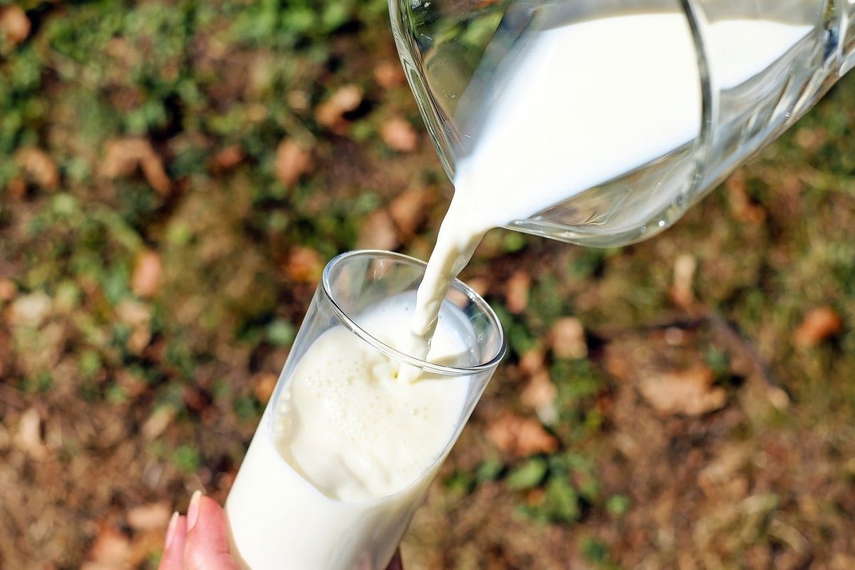 Moo-ving Forward: Launching Your Own Dairy Product Business