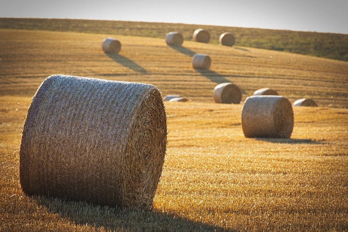 What is the process of Yield Farming?