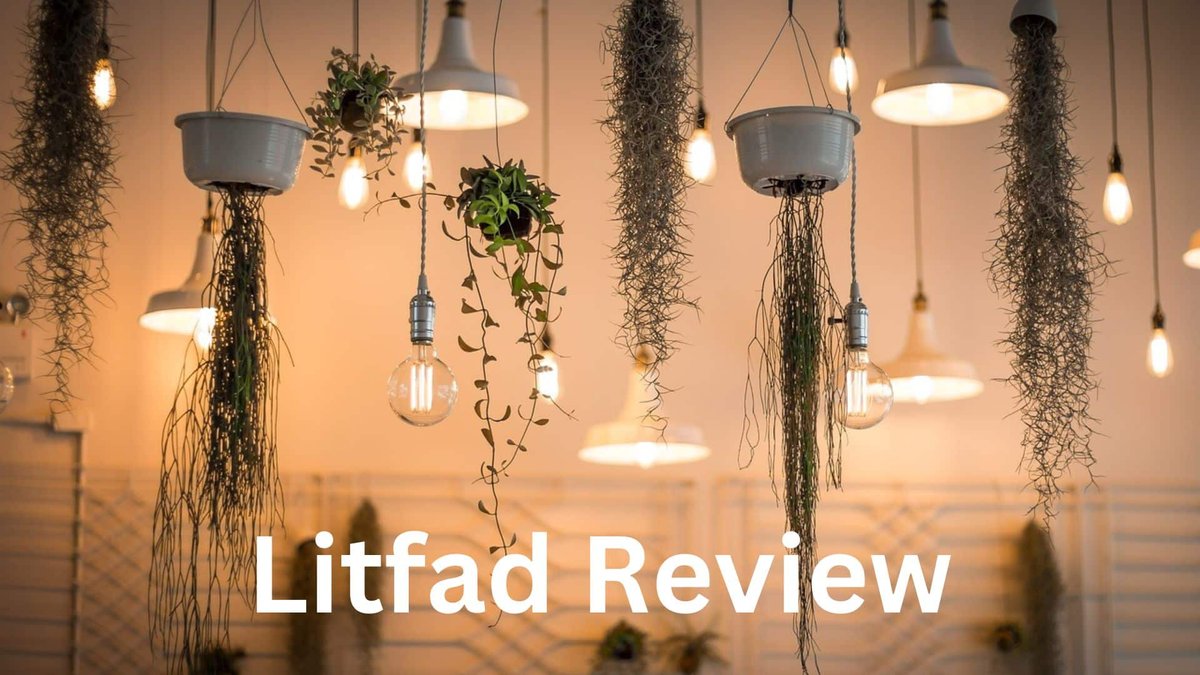 Litfad Review: Is It Genuine Or Another Scam?