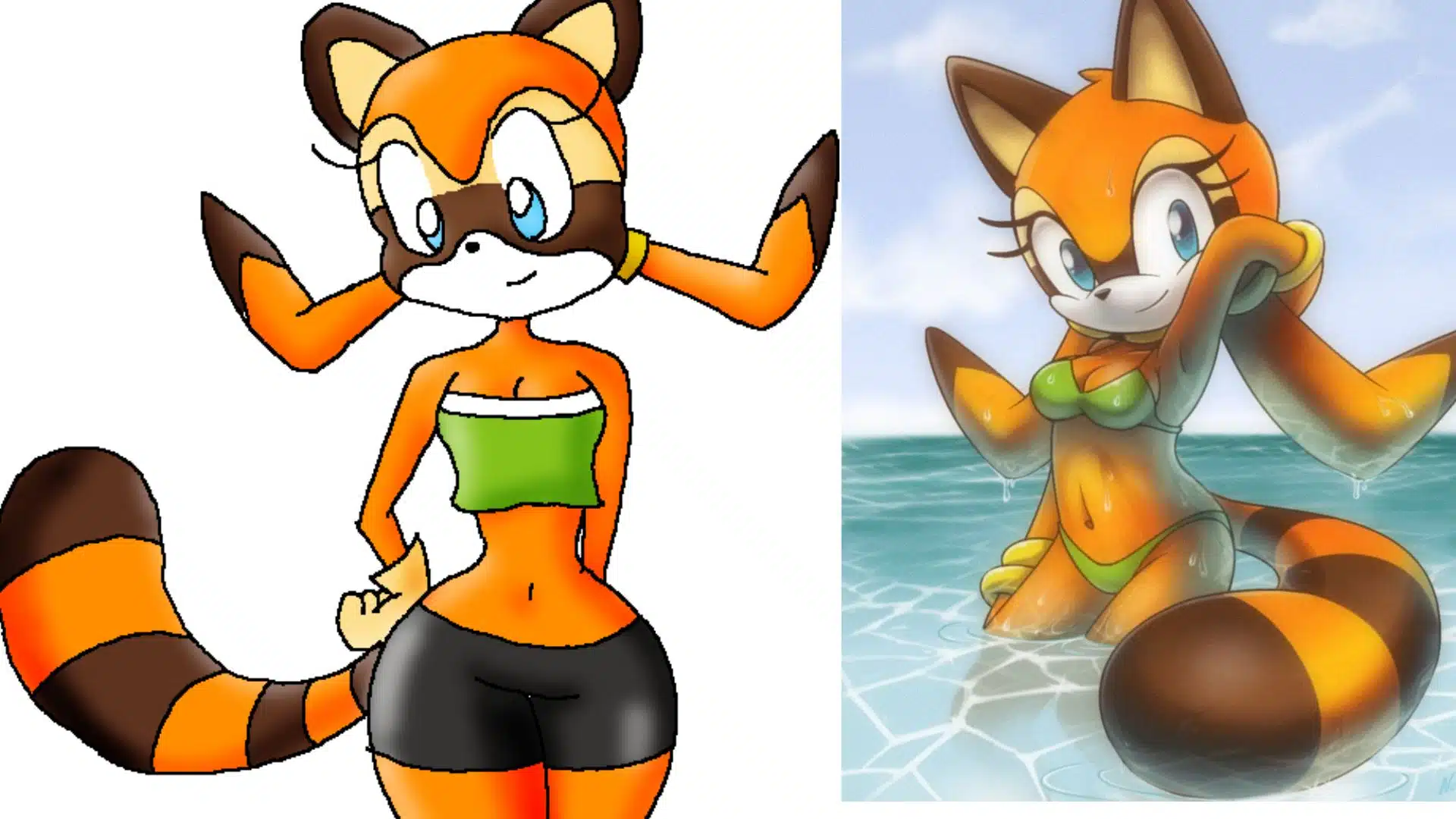 The Top 10 Hottest Sonic Girls Of All Time; Ranked - The Next Hint