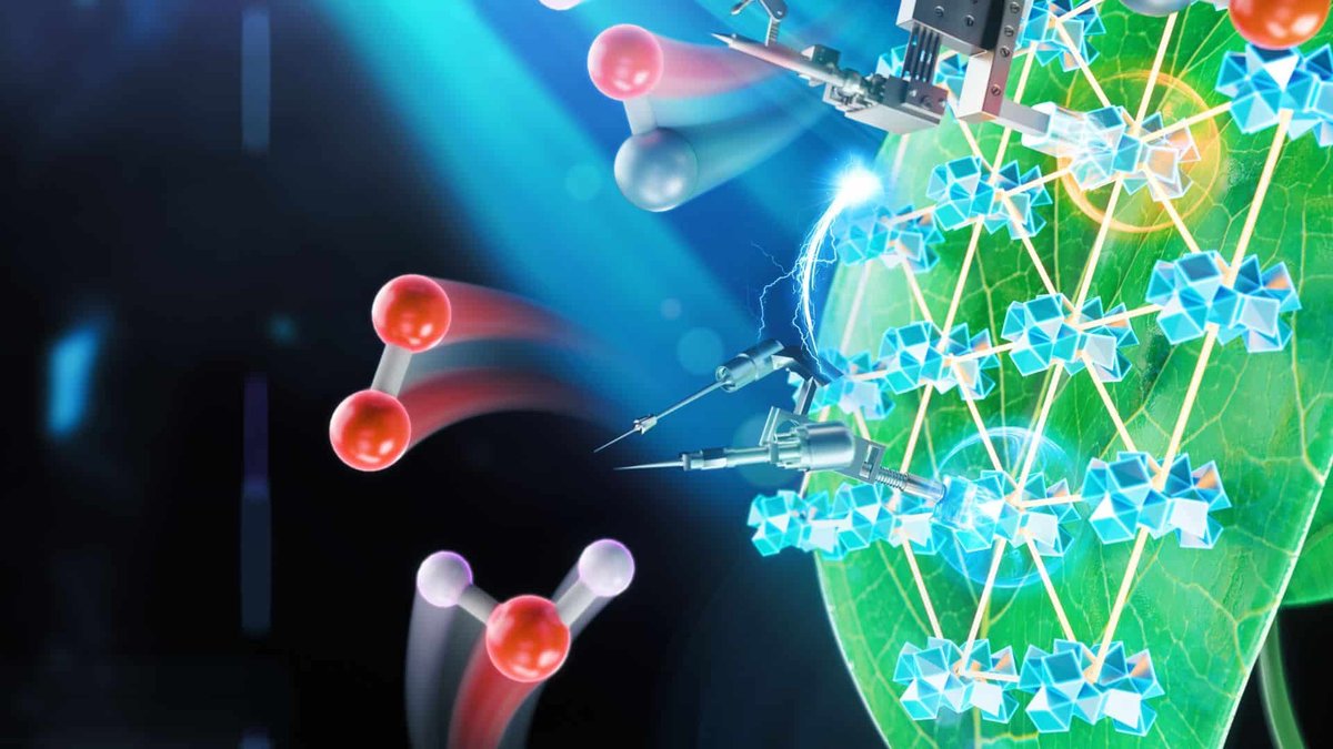 Artificial Photosynthesis
