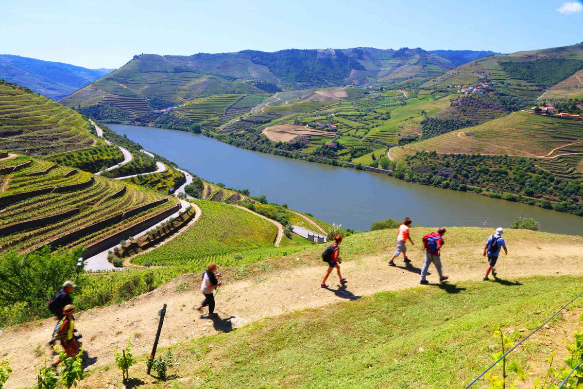 Douro Valley - Great Places To Visit In Portugal