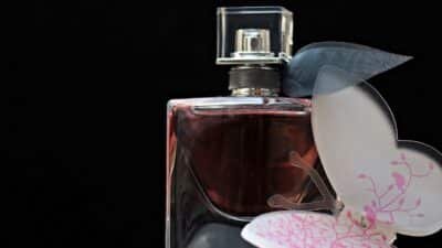 The Art Of Luxury Perfume Bottles: A History Of Design And Innovation